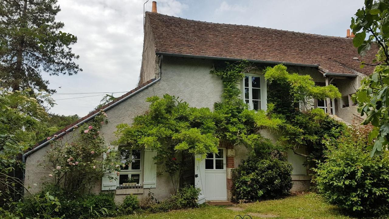 Chambres D'Hotes Les Renardieres Molineuf 外观 照片