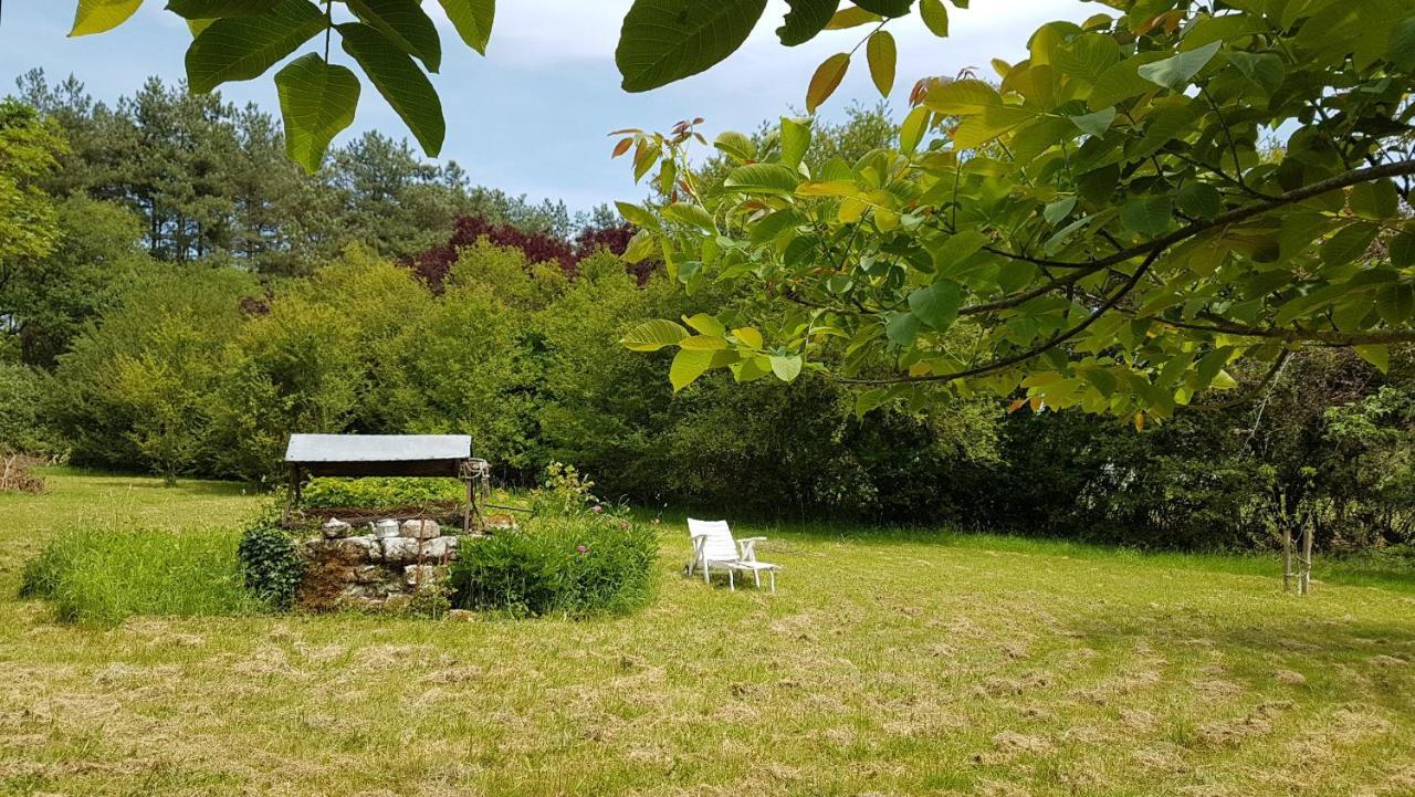 Chambres D'Hotes Les Renardieres Molineuf 外观 照片