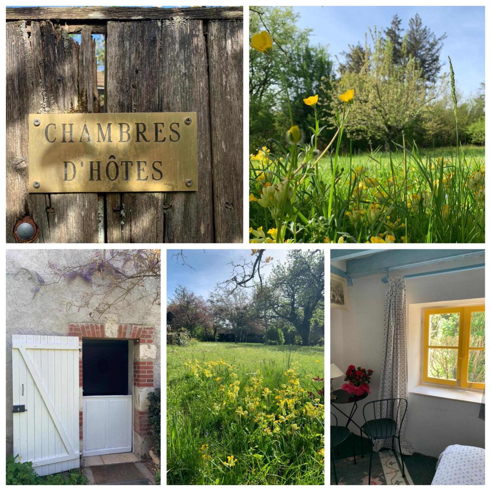 Chambres D'Hotes Les Renardieres Molineuf 外观 照片